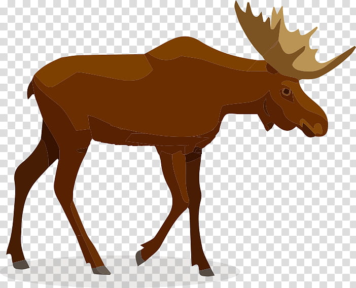 Animal, Moose, , Wildlife, Royaltyfree, Animal Track, Deer, Terrestrial Animal transparent background PNG clipart