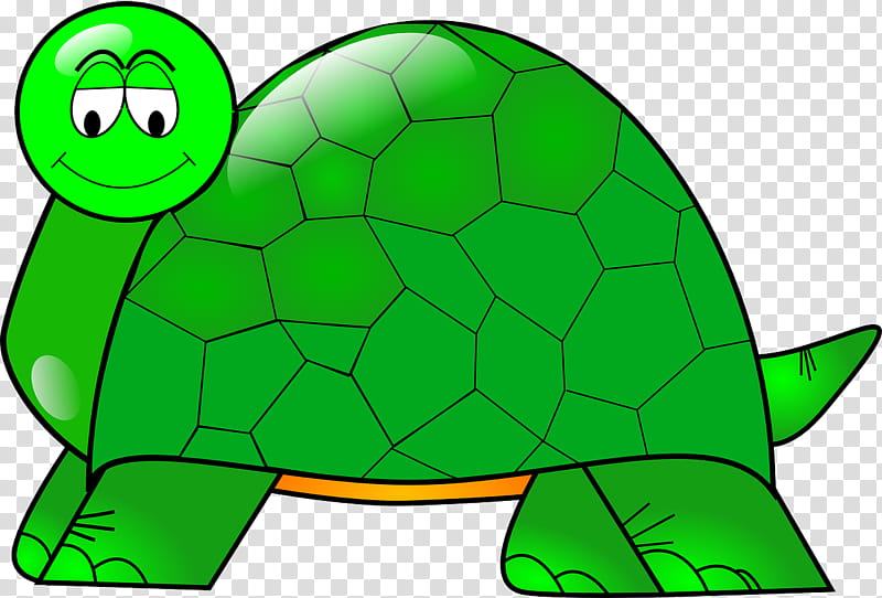 Green Grass, Turtle, Box Turtles, Drawing, Sea Turtle Collection, Common Snapping Turtle, Tortoise, Reptile transparent background PNG clipart