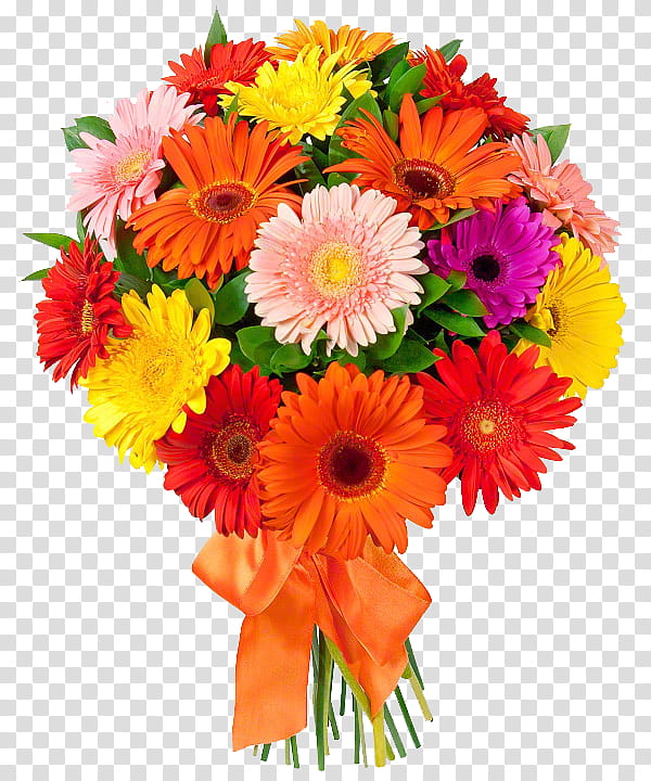 Orange, Flower, Flowering Plant, Bouquet, Barberton Daisy, Gerbera, Cut Flowers, Flower Arranging transparent background PNG clipart