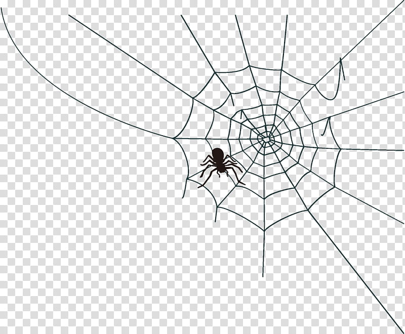 spider web halloween, Halloween , White, Line, Line Art, Diagram, Symmetry, Harvestmen transparent background PNG clipart
