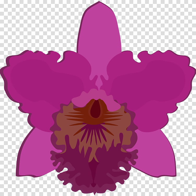 Pink Flower, Plants, Cattleya Bicolor, Dendrobium, Dancinglady Orchid, Cattleya Walkeriana, Phalaenopsis Equestris, Rhynchostylis transparent background PNG clipart