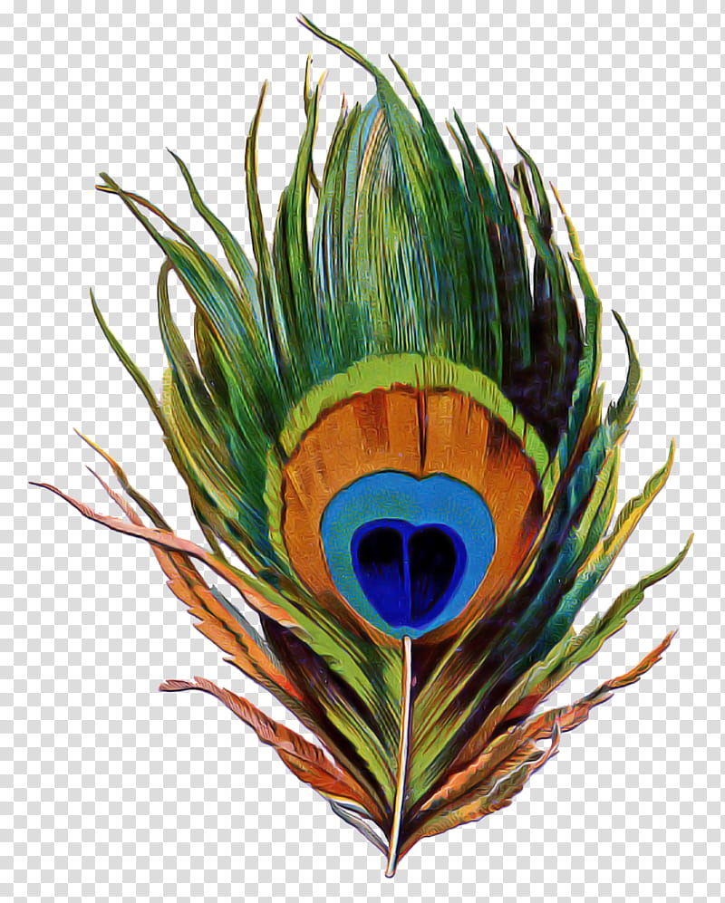 bird of paradise, Feather, Plant, Natural Material transparent background PNG clipart