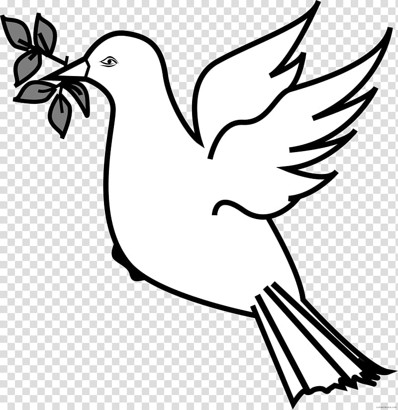 Black And White Flower, Olive Branch, Pigeons And Doves, Drawing, Peace, Symbol, Beak, Bird transparent background PNG clipart