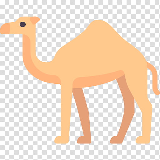 Dromedary Camel, Camelid, Arabian Camel, Animal Figure, Wildlife, Fawn, Landscape, Tail transparent background PNG clipart