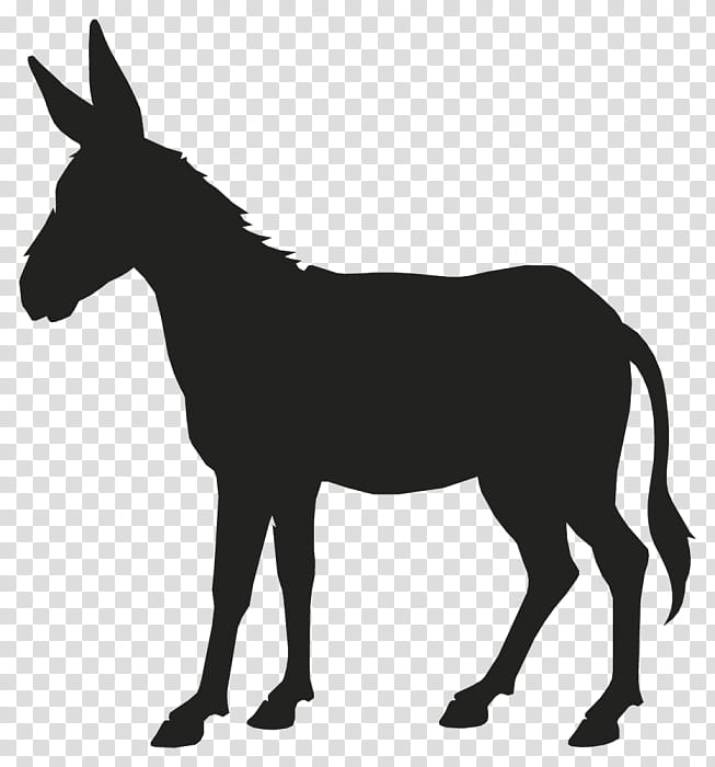 Horse, Donkey, Mule, Silhouette, Drawing, Mane, Black And White
, Live transparent background PNG clipart