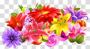 NATURE S ARCHIVES, multicolored flowers transparent background PNG clipart