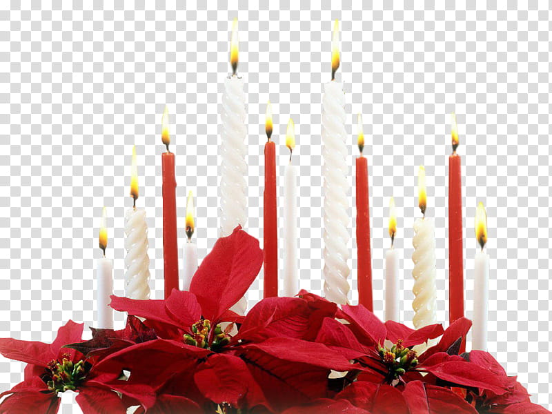 Christmas Resource Month S, white taper candles and red poinsettia flowers transparent background PNG clipart