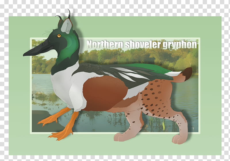 OPEN Northern shoveler gryphon, brown, white and green gryphon drawing transparent background PNG clipart