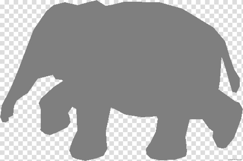 Dog And Cat, African Elephant, Indian Elephant, Animal, Leopard, Basabizitza, Proboscideans, Asian Elephant transparent background PNG clipart