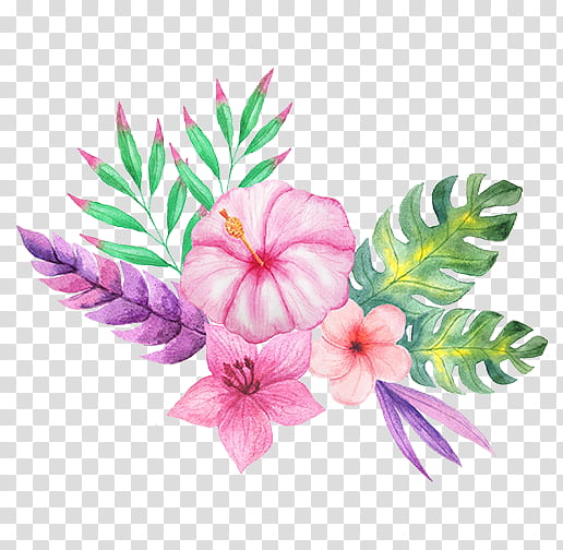 Bouquet Of Flowers Drawing, Watercolor Painting, Watercolor Flowers, Floral Design, Flower Bouquet, Hawaiian Language, Hawaiian Hibiscus, Pink transparent background PNG clipart