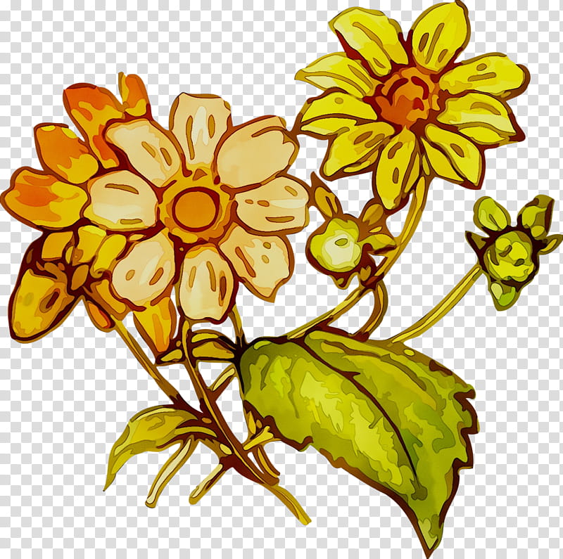Flowers, Floral Design, Cut Flowers, Food, Plant Stem, Herbaceous Plant, Sunflower, Plants transparent background PNG clipart