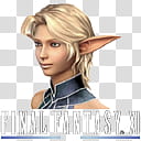 FFXI icon set, FFXI Elvaan female, Final Fantasy XI transparent background PNG clipart