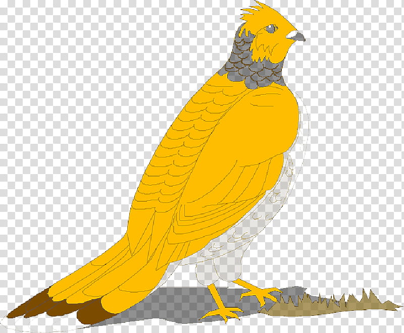 Cartoon Bird, Western Capercaillie, Ptarmigans, Video, Landfowl, Greater Sagegrouse, Beak, Yellow transparent background PNG clipart