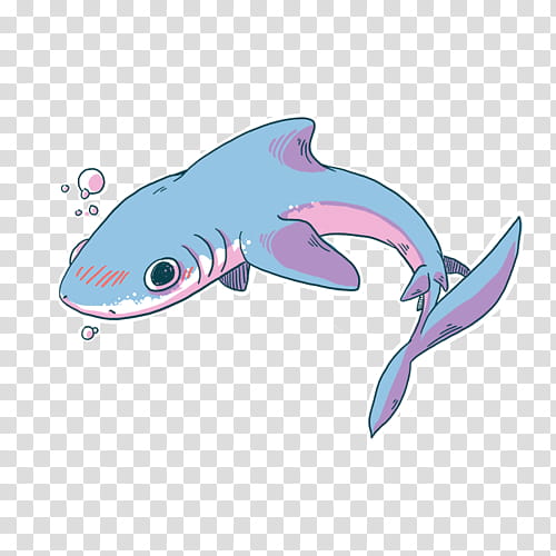 Great White Shark, Baby Shark, Whale Shark, Cartilaginous Fishes, Hammerhead Shark, Sticker, Cuteness, Great Hammerhead transparent background PNG clipart