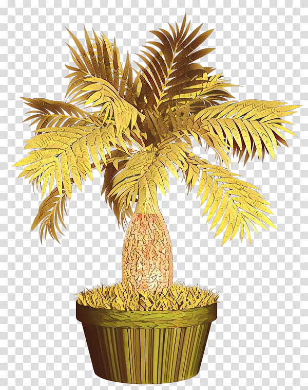 Palm Tree, Date Palm, Palm Trees, Plants, Anthology, Houseplant, Maple, 2018 transparent background PNG clipart