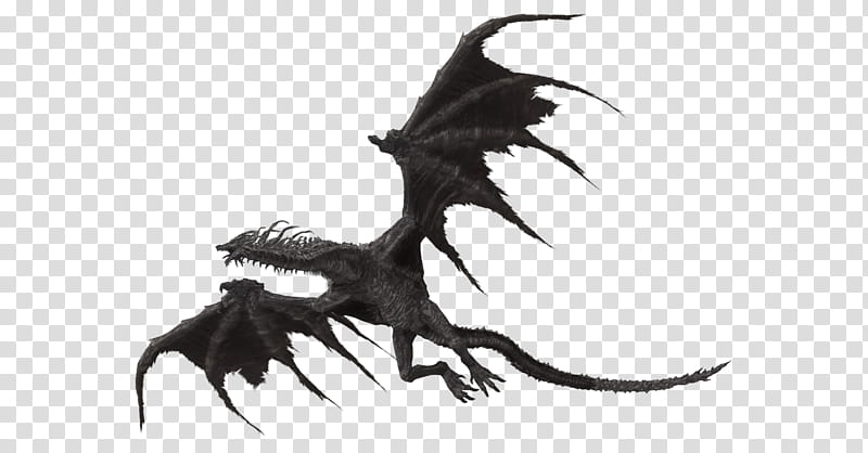 Lotric Wyverns, black dragon character illustration transparent background PNG clipart