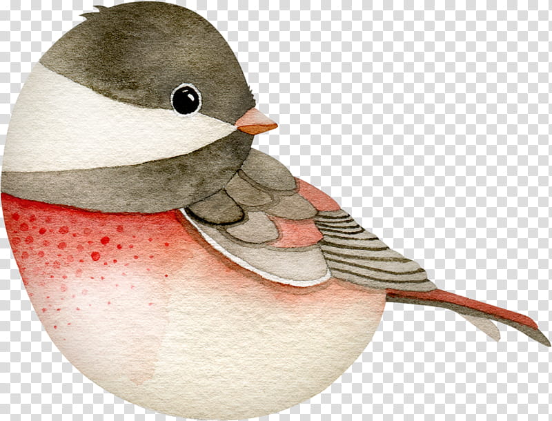 Cartoon Bird, Drawing, Cartoon, Tea, Beak, Junco, Perching Bird transparent background PNG clipart