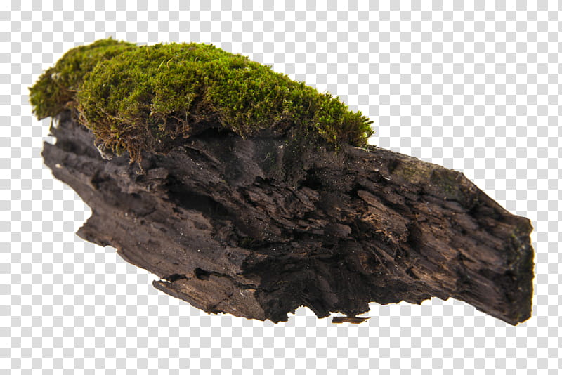 brown rock and green moss transparent background PNG clipart