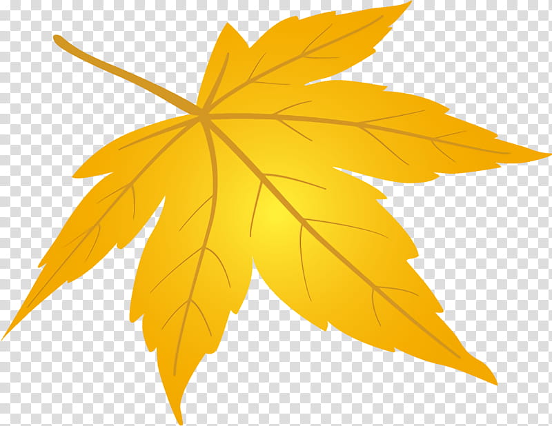 maple leaf fallen leaf dead leaf, Autumn Leaf, Tree, Yellow, Plant, Woody Plant, Black Maple, Plane transparent background PNG clipart