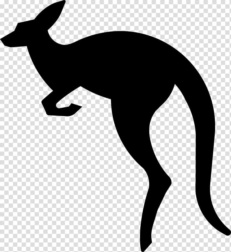 Kangaroo, Australia, Silhouette, Drawing, Aussie, Wallaby, Macropodidae, Tail transparent background PNG clipart