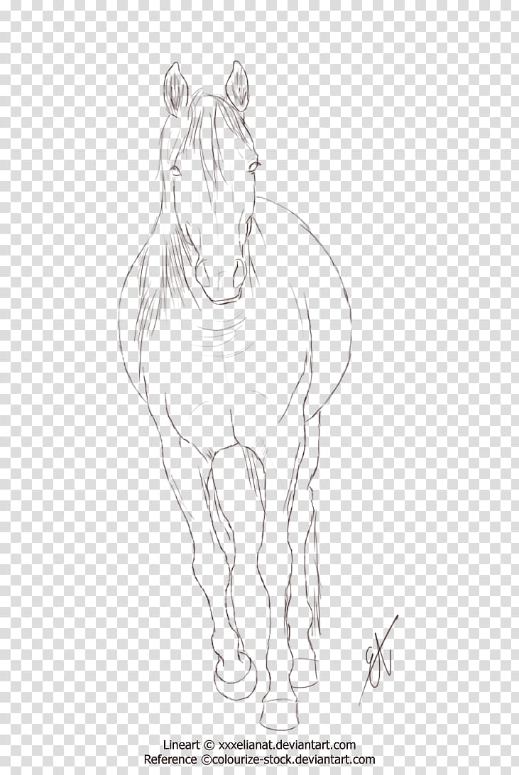 Running Horse Lineart, white horse illustration transparent background PNG clipart