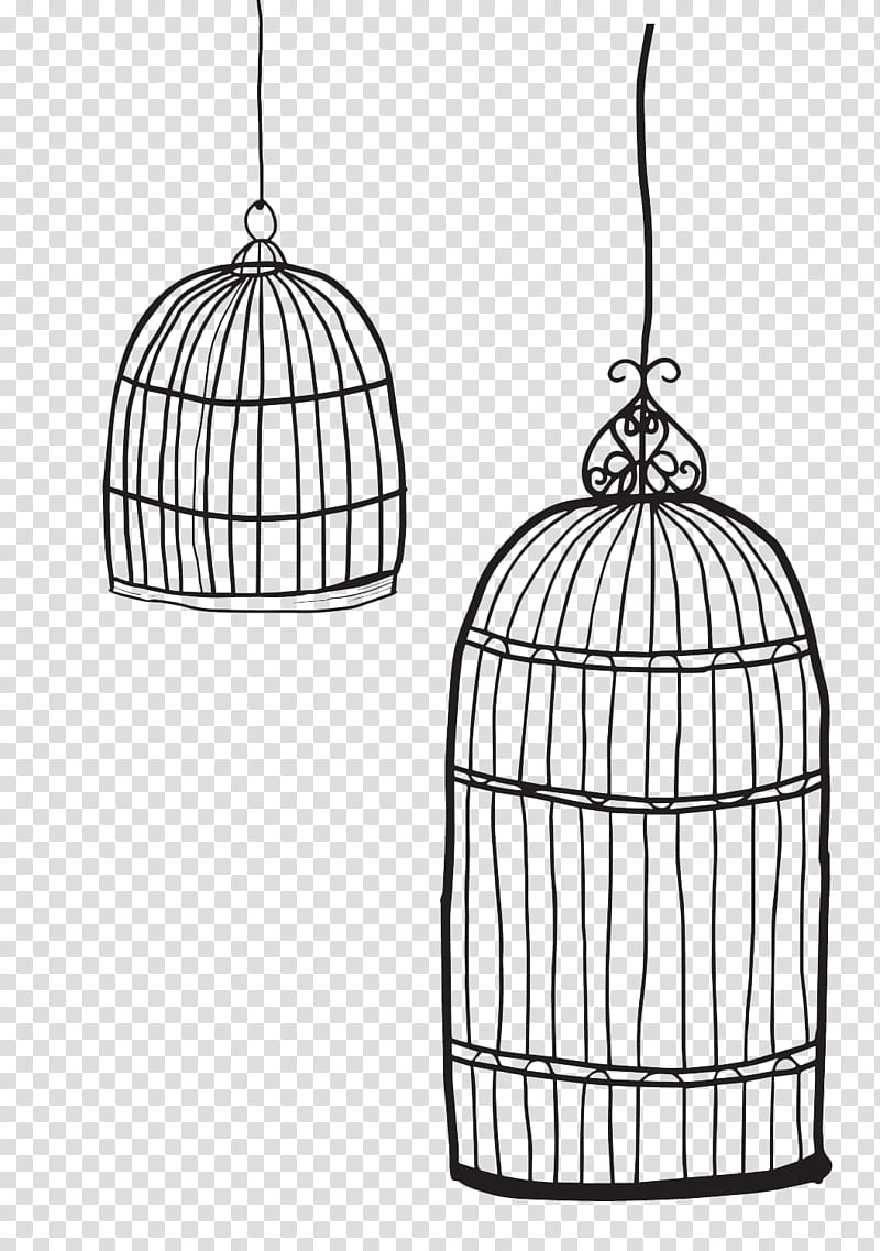 Bird Line Art, Birdcage, Hamster, Pet, Cartoon, Chinese Hwamei, Painting, Stroke transparent background PNG clipart