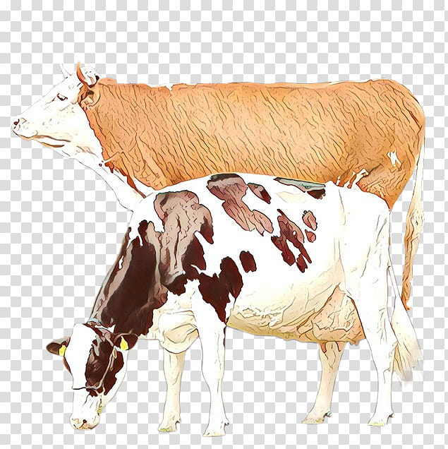dairy cow bovine live cow-goat family calf, Cartoon, Live, Cowgoat Family, Drawing, Fawn transparent background PNG clipart