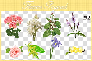 Flowers , assorted-type of flowers artwork transparent background PNG clipart thumbnail