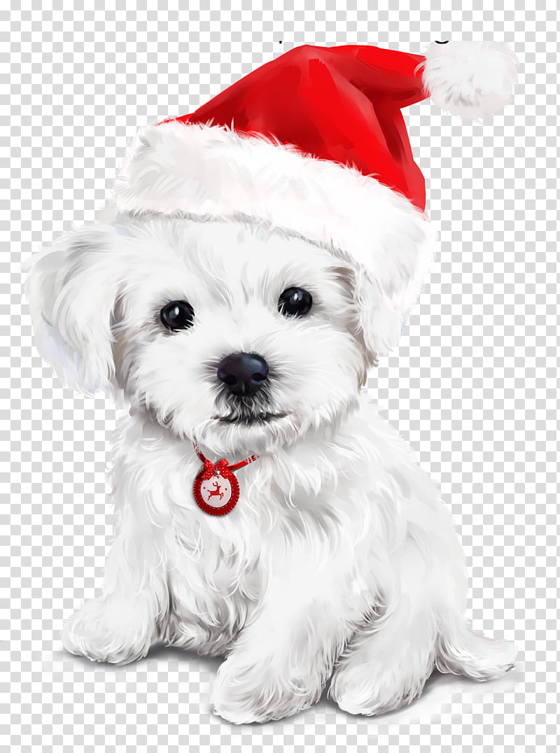 White Christmas, Dog, Drawing, Christmas , Puppy, Painting, Watercolor Painting, Artist transparent background PNG clipart