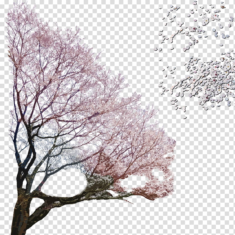 Shimizu Style Stage, flowering tree transparent background PNG clipart