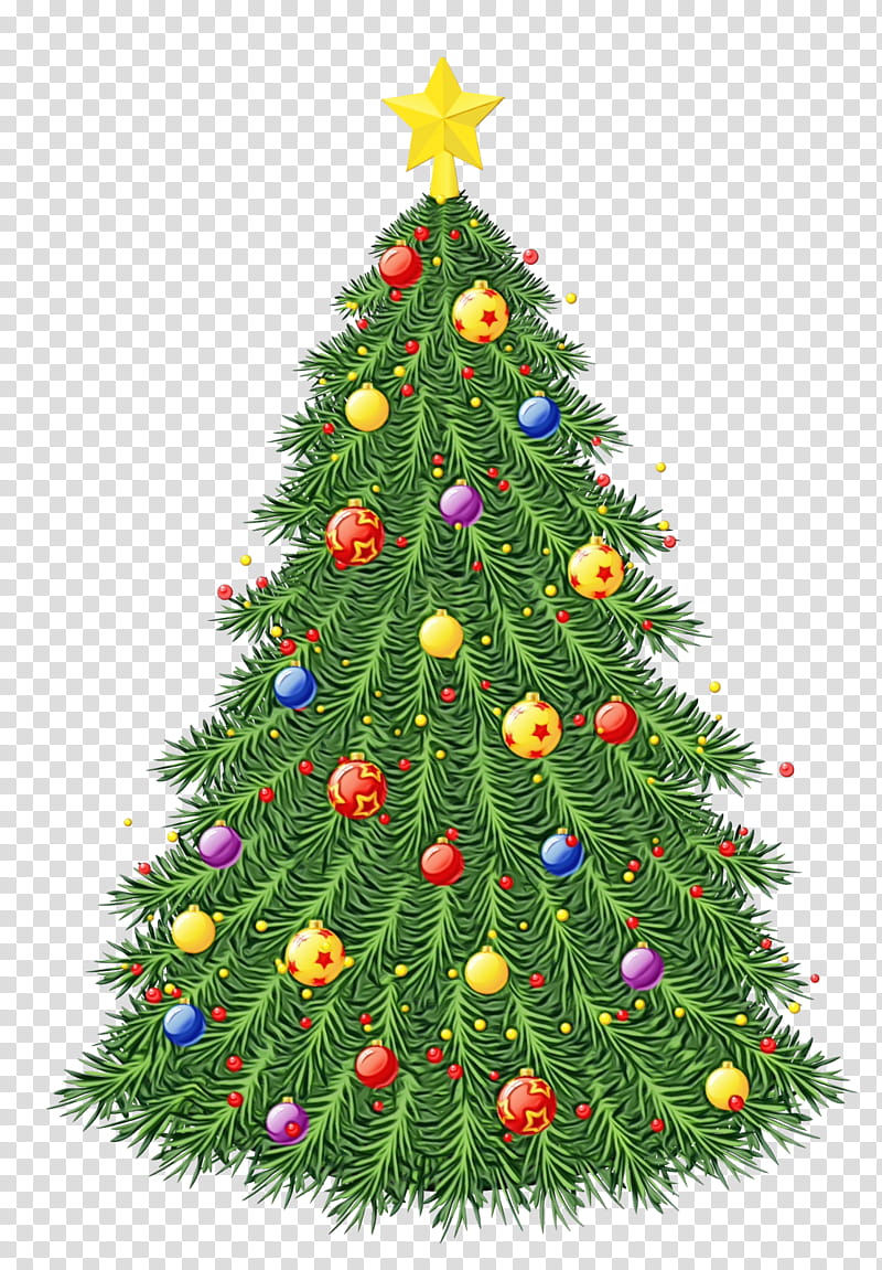 Christmas tree, Watercolor, Paint, Wet Ink, Christmas Decoration, Colorado Spruce, Christmas Ornament, Oregon Pine transparent background PNG clipart Christmas tree, Watercolor, Paint, Wet Ink, Christmas Decoration, Colorado Spruce, Christmas Ornament, Oregon Pine transparent background PNG clipart