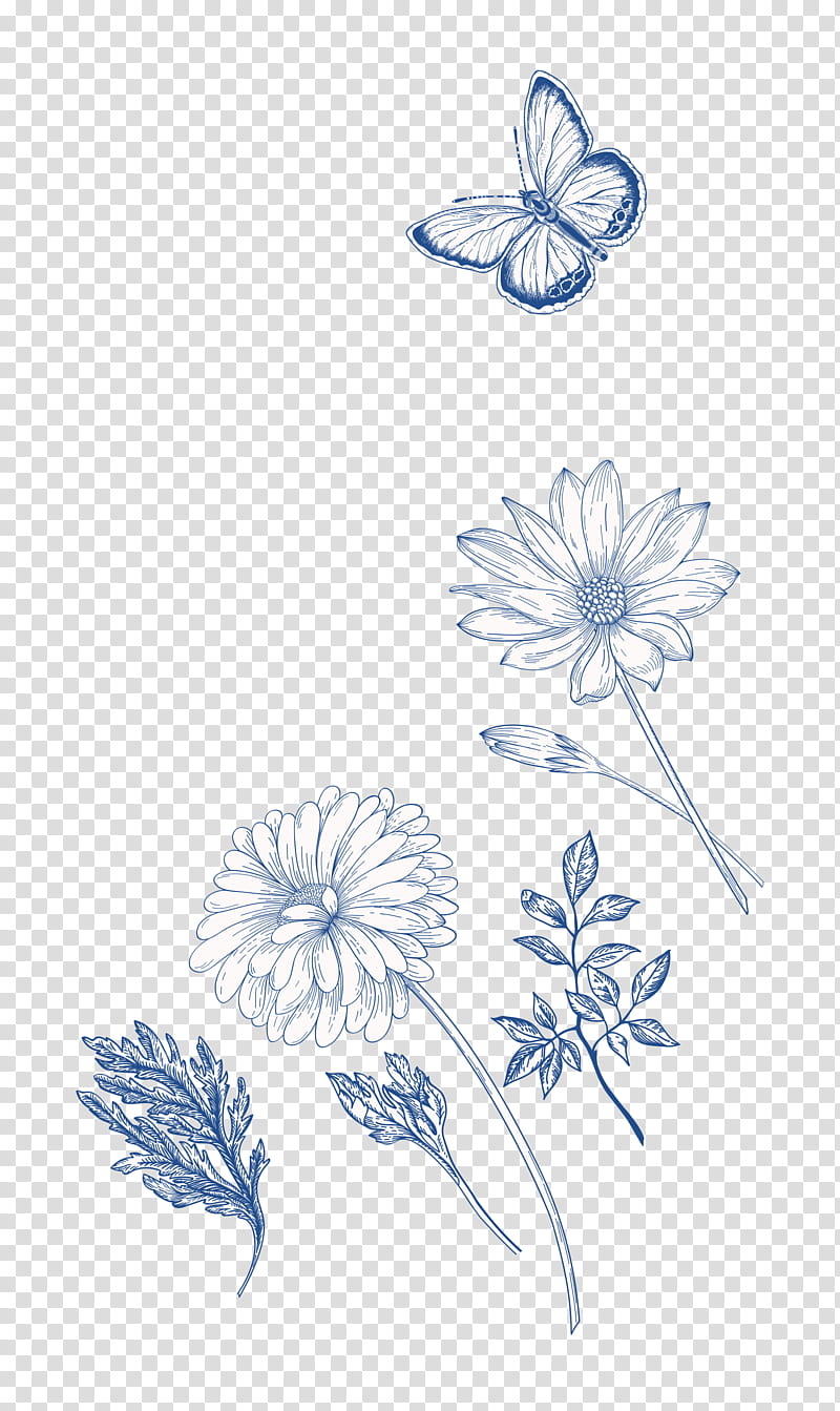 Floral Wedding Invitation, Drawing, Flower, Blue, White, Plant, Petal, Line transparent background PNG clipart