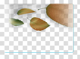 Vista Rainbar V English, leaves carried transparent background PNG clipart