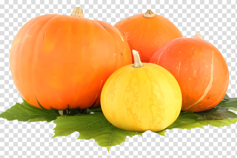 Pumpkin, Natural Foods, Calabaza, Vegetable, Orange, Winter Squash, Fruit, Local Food transparent background PNG clipart