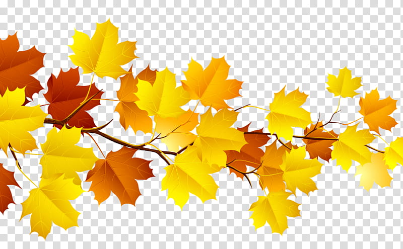 Autumn Leaf Drawing, Autumn Leaf Color, Tree, Logo, Yellow, Maple Leaf, Branch transparent background PNG clipart