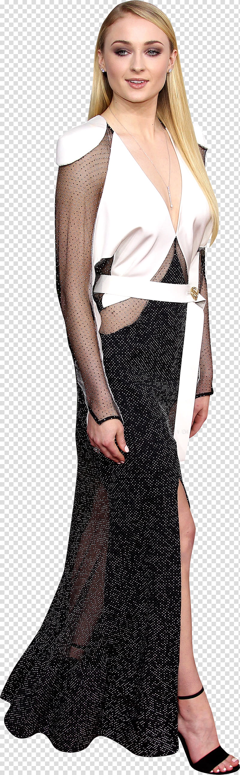 Sophie Turner transparent background PNG clipart