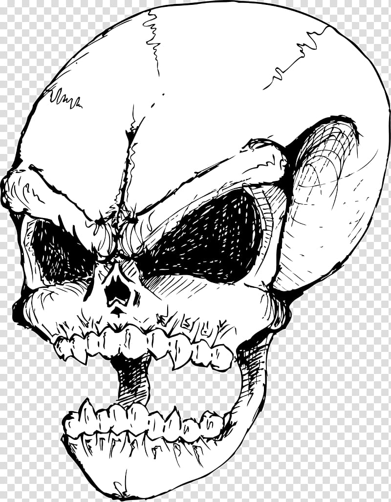 horror skull drawing