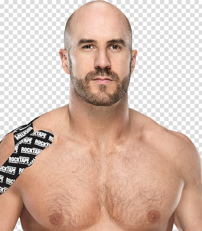 Cesaro  Yearbook transparent background PNG clipart