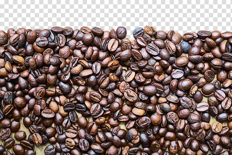 kapeng barako jamaican blue mountain coffee java coffee brown bean, Watercolor, Paint, Wet Ink, Caffeine, Food, Superfood, Singleorigin Coffee transparent background PNG clipart
