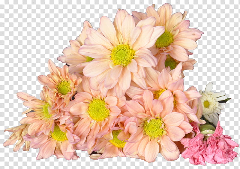 pile of flowers transparent background PNG clipart