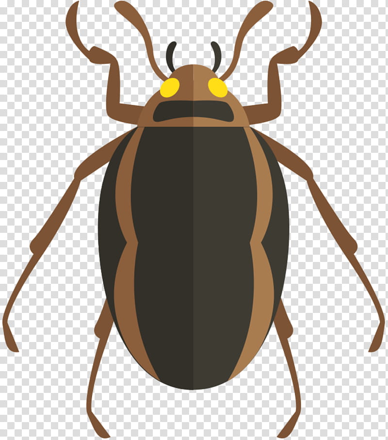 Cockroach, Beetle, Antenna, Cartoon, Insect, Pest, Ground Beetle, Parasite transparent background PNG clipart