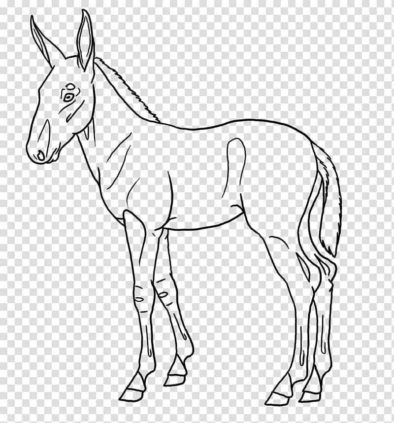Pan Mule Foal Design Template Lines, sketch of horse transparent background PNG clipart