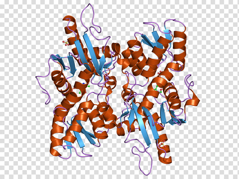 Histidinol Dehydrogenase Text, Prenyltransferase, Enzyme, Protein, Catalysis, Nicotinamide Adenine Dinucleotide, Enzyme Catalysis, Cell Membrane transparent background PNG clipart