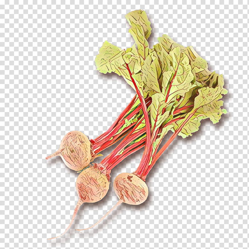 beetroot vegetable plant radish food, Cartoon, Rhubarb, Flower transparent background PNG clipart
