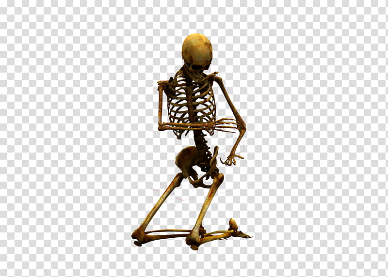 E S Bones II, kneeling skeleton transparent background PNG clipart