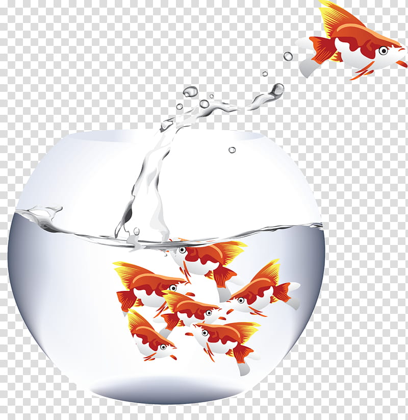 Tropical Tree, Common Goldfish, Koi, Aquarium, Akwarium Kulowe, Fishkeeping, Ornamental Fish, Veiltail transparent background PNG clipart