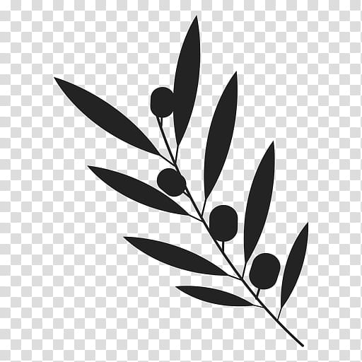 Olive Tree Drawing, Olive Branch, Olive Oil, Leaf, Plant, Flower, Twig, Blackandwhite transparent background PNG clipart