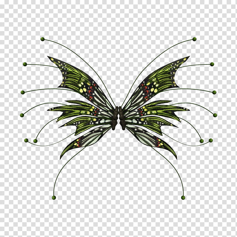 D Fae Wings , green butterfly illustration transparent background PNG clipart
