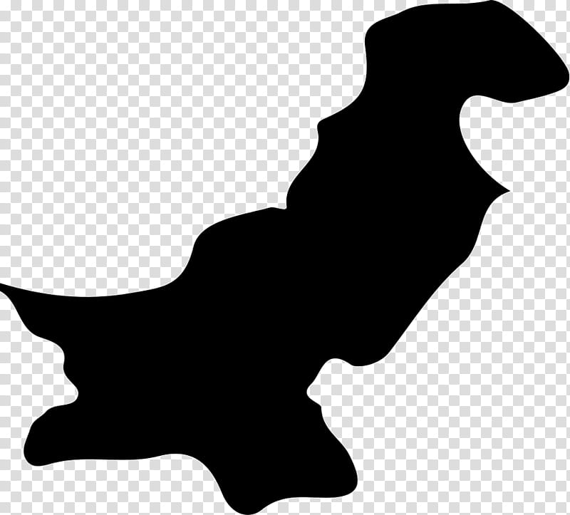 Pakistan Flag, Flag Of Pakistan, Map, Logo, Black, Black And White
, Silhouette transparent background PNG clipart