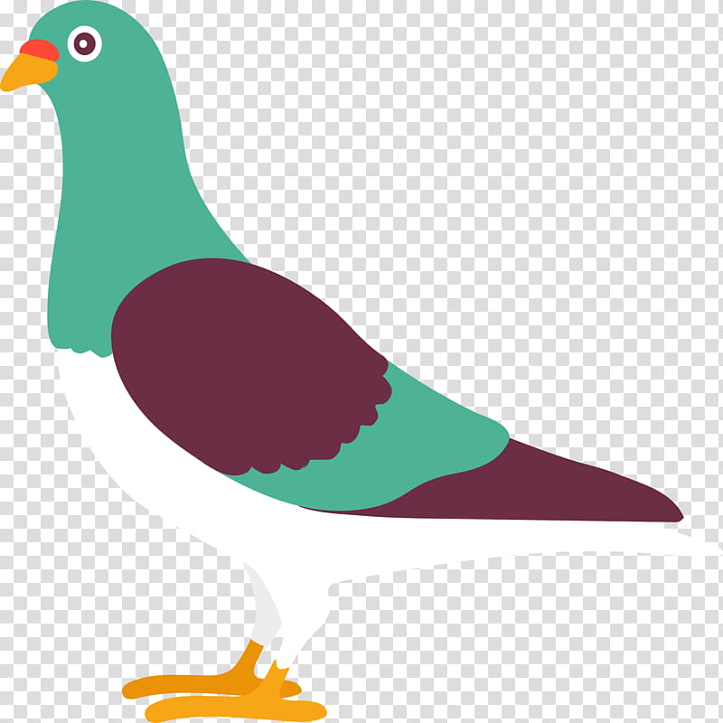 Bird Drawing, Pigeons And Doves, Rock Dove, Homing Pigeon, Cartoon, Painting, Comics, Animation transparent background PNG clipart